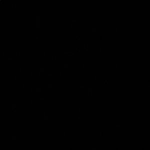 Meet your Posher, Joanie